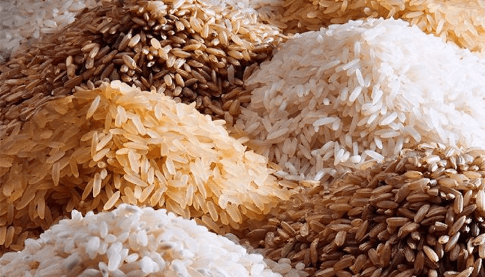 Basmati and Non-Basmati Rice